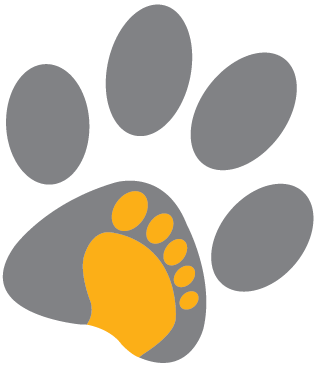 Aptech Certification